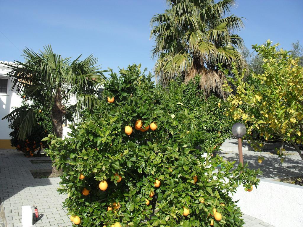 Casa De Campo Quinta Sao Jorge Villa Reguengos de Monsaraz Esterno foto